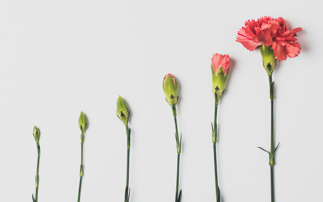 Tips på statistik att följa i Google Analytics 4